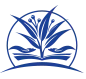 CAMBOON PRIMARY SCHOOL
